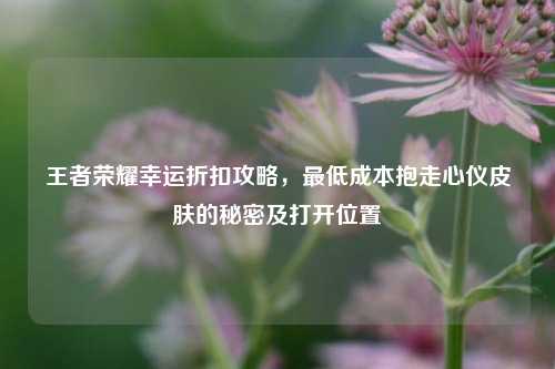 王者荣耀幸运折扣攻略，更低成本抱走心仪皮肤的秘密及打开位置