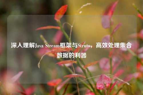 深入理解Java Stream框架与Struts，高效处理 *** 数据的利器