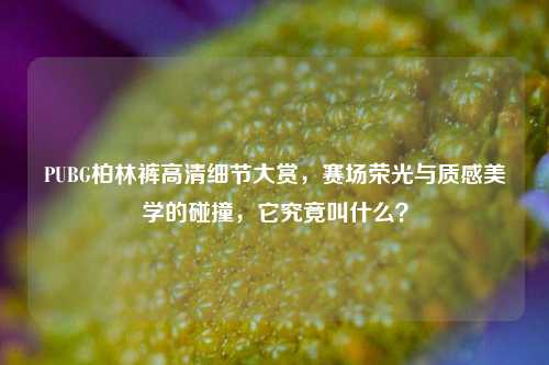 PUBG柏林裤高清细节大赏，赛场荣光与质感美学的碰撞，它究竟叫什么？