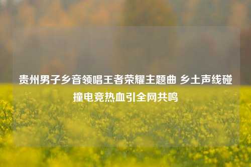 贵州男子乡音领唱王者荣耀主题曲 乡土声线碰撞电竞热血引全网共鸣