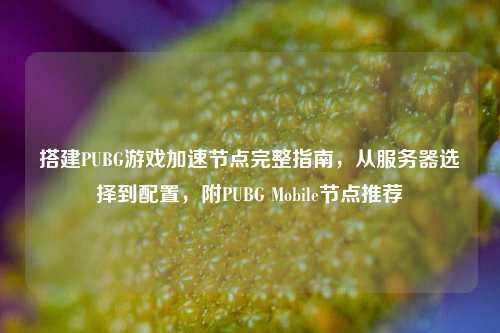 搭建PUBG游戏加速节点完整指南，从服务器选择到配置，附PUBG Mobile节点推荐