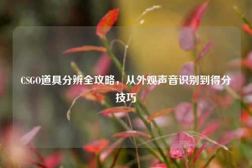 CSGO道具分辨全攻略，从外观声音识别到得分技巧