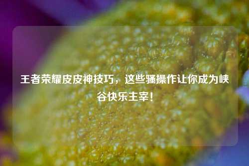 王者荣耀皮皮神技巧，这些骚操作让你成为峡谷快乐主宰！