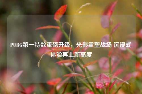 PUBG之一特效重磅升级，光影重塑战场 沉浸式体验再上新高度