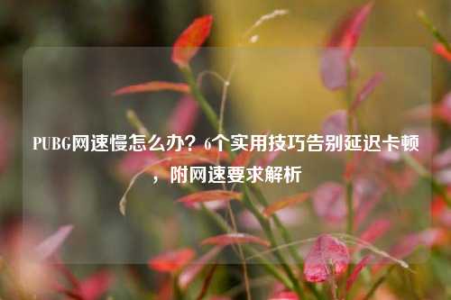 PUBG网速慢怎么办？6个实用技巧告别延迟卡顿，附网速要求解析