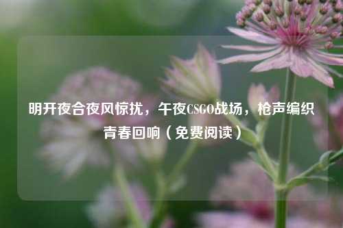 明开夜合夜风惊扰，午夜CSGO战场，枪声编织青春回响（免费阅读）