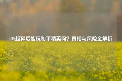 iOS越狱后能玩和平精英吗？真相与风险全解析