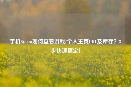 手机Steam如何查看游戏/个人主页URL及库存？3步快速搞定！