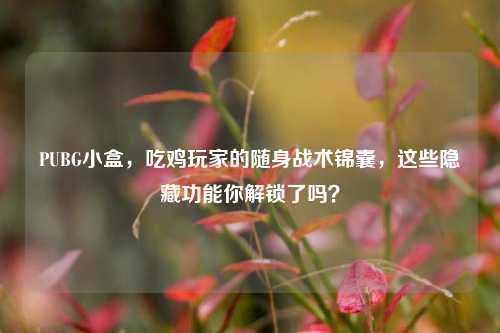 PUBG小盒，吃鸡玩家的随身战术锦囊，这些隐藏功能你解锁了吗？
