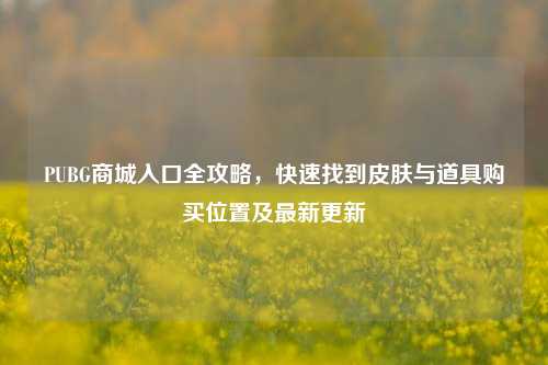 PUBG商城入口全攻略，快速找到皮肤与道具购买位置及最新更新