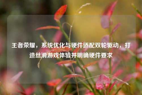王者荣耀，系统优化与硬件适配双轮驱动，打造丝滑游戏体验并明确硬件要求
