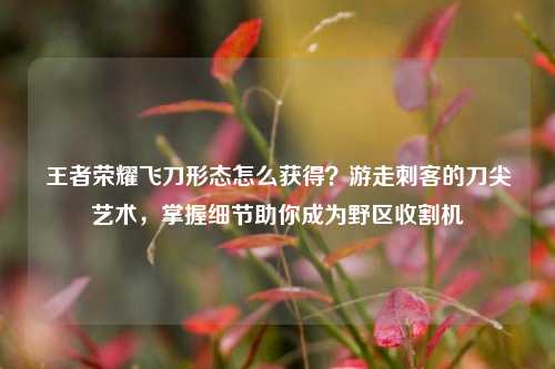 王者荣耀飞刀形态怎么获得？游走刺客的刀尖艺术，掌握细节助你成为野区收割机