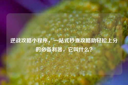 逆战攻略小程序，一站式秒查攻略助轻松上分的必备利器，它叫什么？