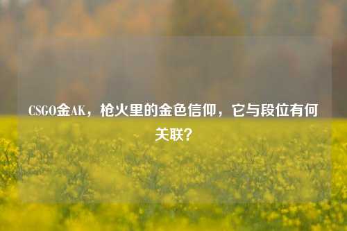 CSGO金AK，枪火里的金色信仰，它与段位有何关联？