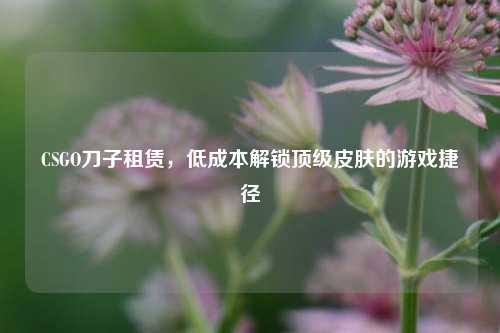 CSGO刀子租赁，低成本解锁顶级皮肤的游戏捷径