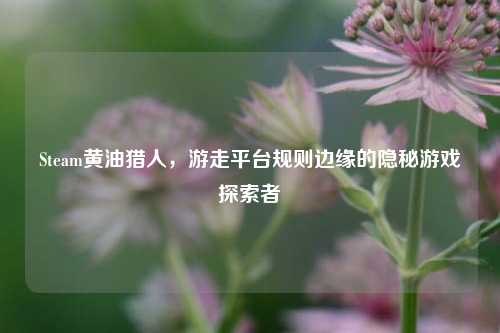 Steam黄油猎人，游走平台规则边缘的隐秘游戏探索者