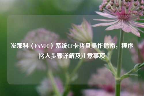发那科（FANUC）系统CF卡拷贝操作指南，程序拷入步骤详解及注意事项