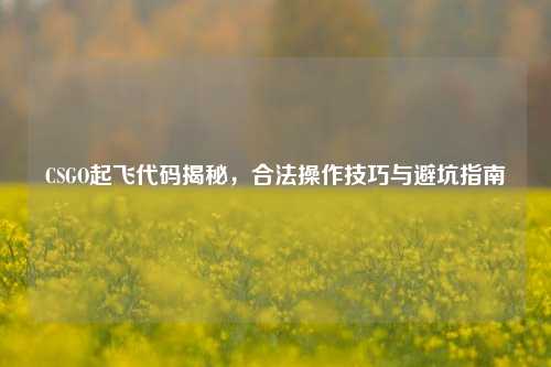 CSGO起飞代码揭秘，合法操作技巧与避坑指南