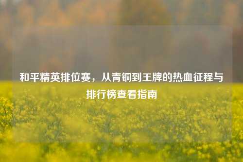 和平精英排位赛，从青铜到王牌的热血征程与排行榜查看指南