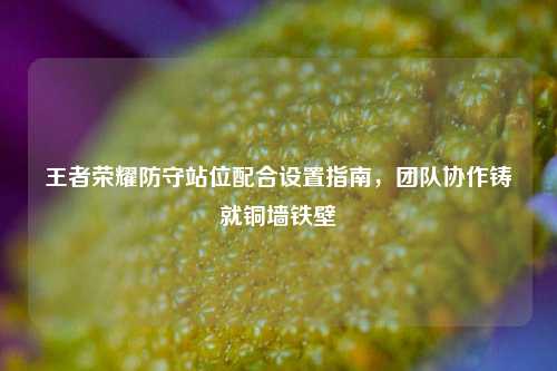 王者荣耀防守站位配合设置指南，团队协作铸就铜墙铁壁