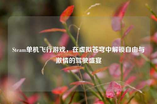 Steam单机飞行游戏，在虚拟苍穹中解锁自由与 *** 的驾驶盛宴