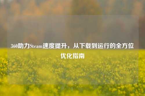 360助力Steam速度提升，从下载到运行的全方位优化指南