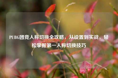 PUBG团竞人称切换全攻略，从设置到实战，轻松掌握之一人称切换技巧