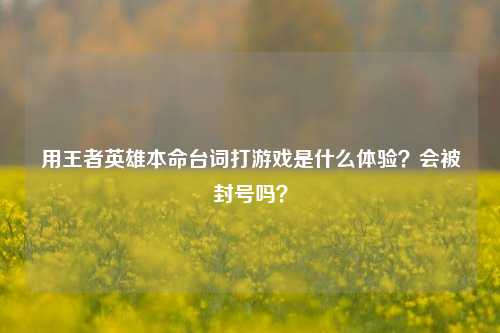 用王者英雄本命台词打游戏是什么体验？会被封号吗？