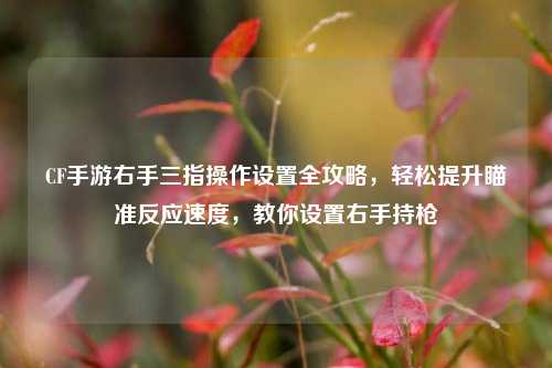 CF手游右手三指操作设置全攻略，轻松提升瞄准反应速度，教你设置右手持枪