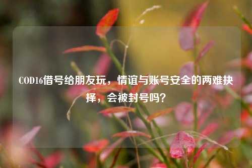 COD16借号给朋友玩，情谊与账号安全的两难抉择，会被封号吗？