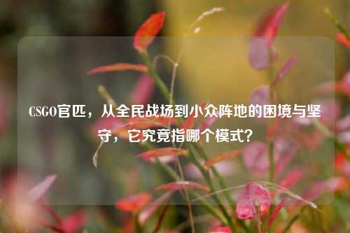 CSGO官匹，从全民战场到小众阵地的困境与坚守，它究竟指哪个模式？