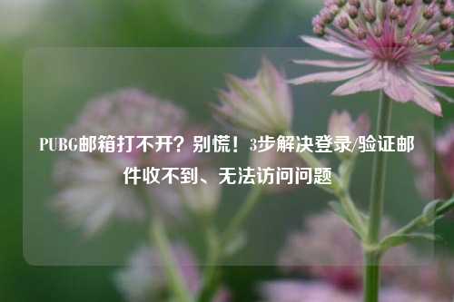 PUBG邮箱打不开？别慌！3步解决登录/验证邮件收不到、无法访问问题