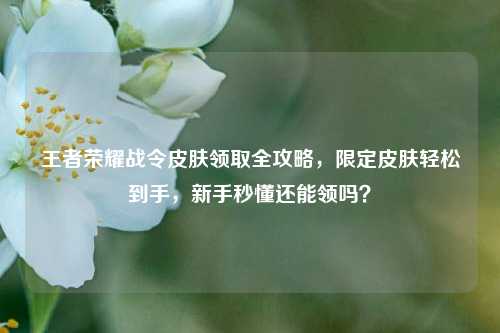 王者荣耀战令皮肤领取全攻略，限定皮肤轻松到手，新手秒懂还能领吗？
