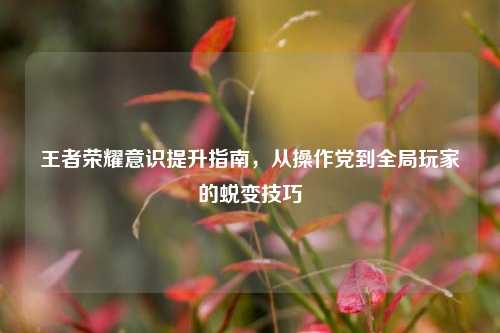 王者荣耀意识提升指南，从操作党到全局玩家的蜕变技巧