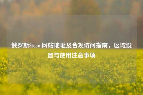 俄罗斯Steam网站地址及合规访问指南，区域设置与使用注意事项