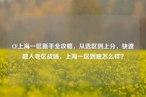 CF上海一区新手全攻略，从选区到上分，快速融入老区战场，上海一区到底怎么样？