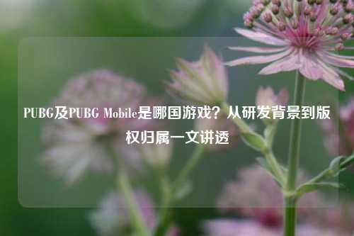 PUBG及PUBG Mobile是哪国游戏？从研发背景到版权归属一文讲透