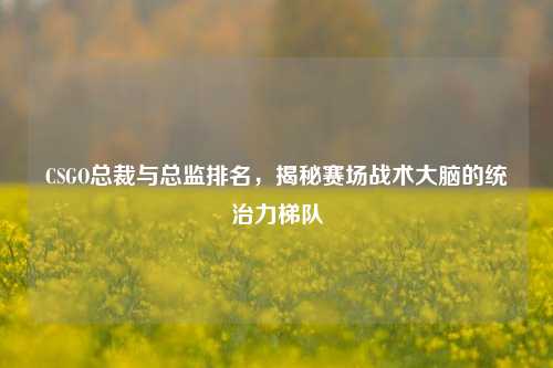 CSGO总裁与总监排名，揭秘赛场战术大脑的统治力梯队