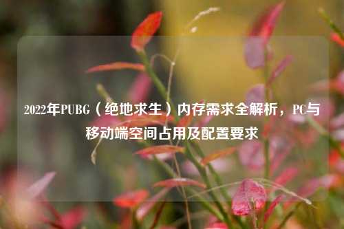 2022年PUBG（绝地求生）内存需求全解析，PC与移动端空间占用及配置要求
