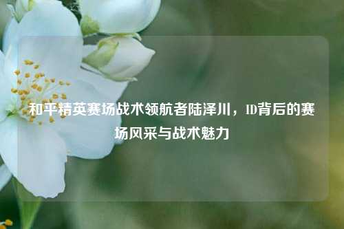 和平精英赛场战术领航者陆泽川，ID背后的赛场风采与战术魅力