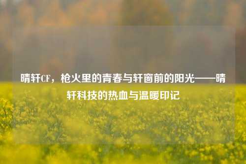 晴轩CF，枪火里的青春与轩窗前的阳光——晴轩科技的热血与温暖印记