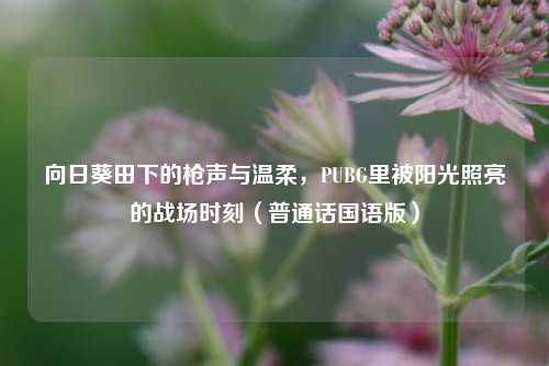 向日葵田下的枪声与温柔，PUBG里被阳光照亮的战场时刻（普通话国语版）