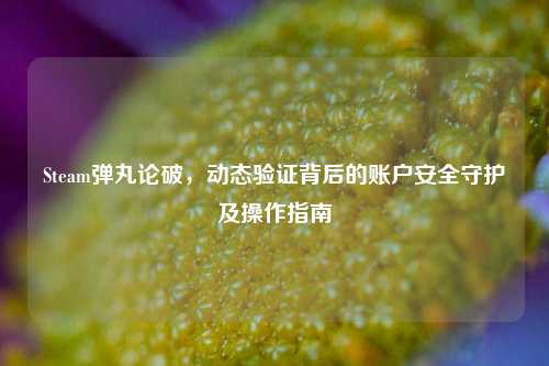 Steam弹丸论破，动态验证背后的账户安全守护及操作指南