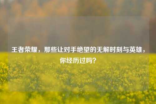 王者荣耀，那些让对手绝望的无解时刻与英雄，你经历过吗？
