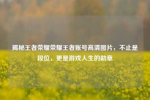 揭秘王者荣耀荣耀王者账号高清图片，不止是段位，更是游戏人生的勋章