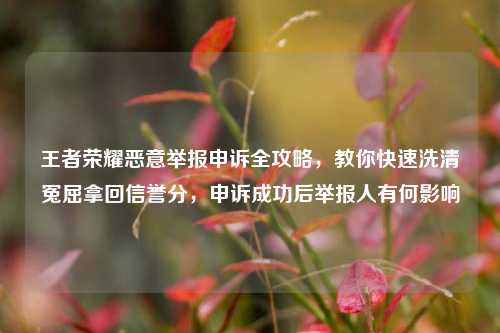 王者荣耀恶意举报申诉全攻略，教你快速洗清冤屈拿回信誉分，申诉成功后举报人有何影响