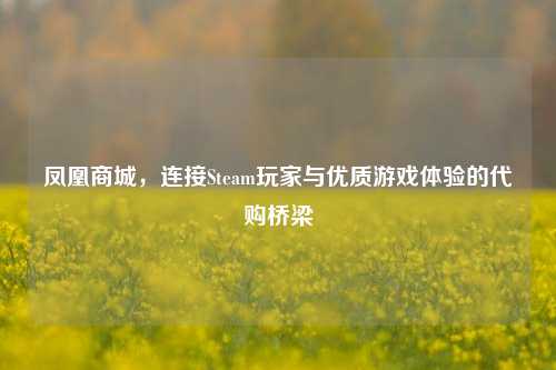 凤凰商城，连接Steam玩家与优质游戏体验的 *** 桥梁