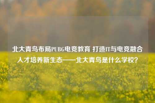 北大青鸟布局PUBG电竞教育 打造IT与电竞融合人才培养新生态——北大青鸟是什么学校？