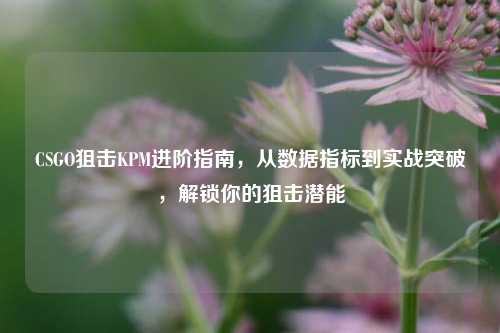 CSGO狙击KPM进阶指南，从数据指标到实战突破，解锁你的狙击潜能
