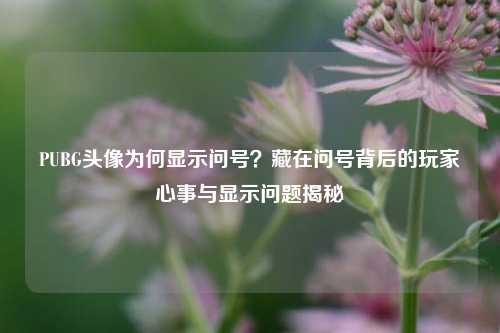 PUBG头像为何显示问号？藏在问号背后的玩家心事与显示问题揭秘
